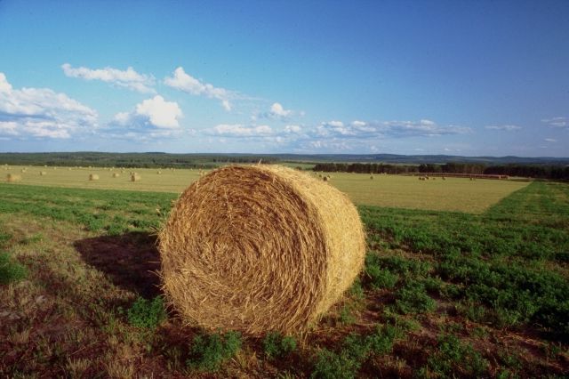 agricoltura-foto agricoltura-foto